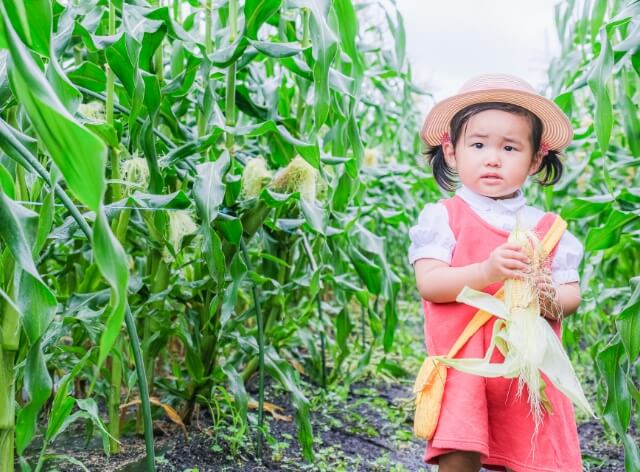 しっかりと両手でコーンを掴む子供の写真