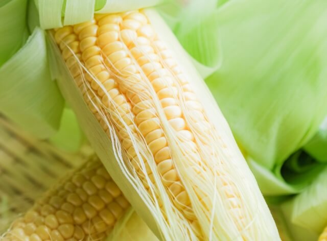 コーンの皮を剥く写真