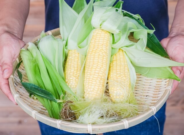 ザルに乗せているコーンの写真