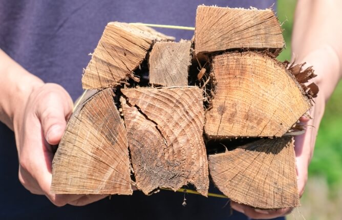 綺麗な断面の薪です